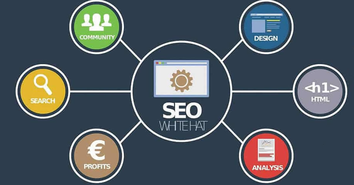 Seo Eğitmi